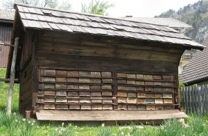 anton-jansa-cebeljnak